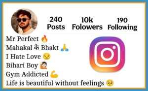 Bihari Bio For Instagram 