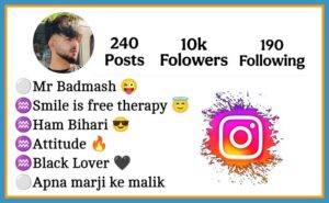 Attitude Instagram Bio For Bihari
