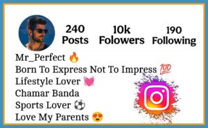 Instagram Bio For Chamar Boy 