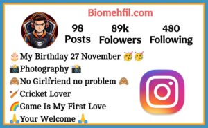 Stylish Instagram Bio For Gamer