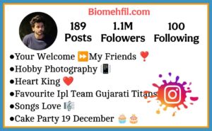 Stylish Bio For Instagram For Boys
