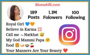 Instagram Bio For Girls Attitude
