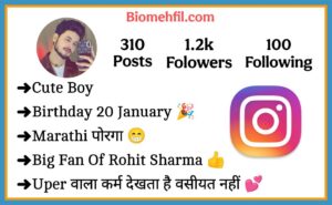 Instagram Bio In Marathi